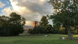 Image result for St Albans Centurions