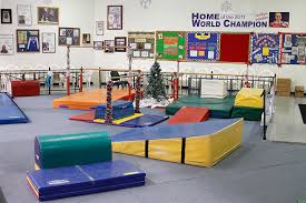 Image result for Tessaro Gymnastics Club
