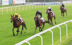 Image result for Ayr Riding Club