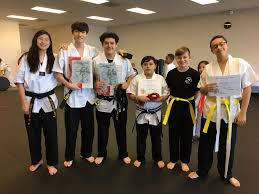 Image result for Vision Martial Arts