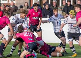 Image result for Grasshoppers Rfc