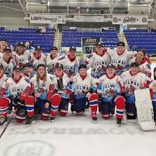 Image result for Cardiff Comets Ladies Ice Hockey