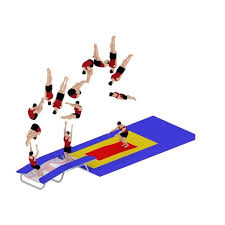 Image result for Olga Gymnastics & Trampoline Club