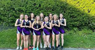 Image result for Knutsford Netball Club