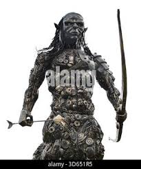 Image result for Shropshire Warriors