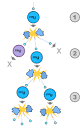 Nuclear chain reaction - Wikipedia, the free encyclopedia