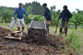 「松尾伊織」の画像検索結果