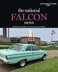 Image result for Falcon Sa Club