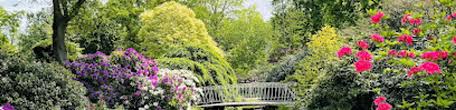 Image result for Arboretum Trompenburg