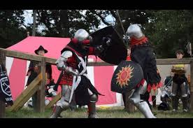 Image result for Invicta Knights