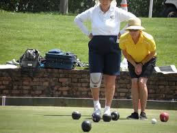 Image result for Bridgman Indoor Bowls Club