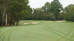 Image result for Avondale Gc