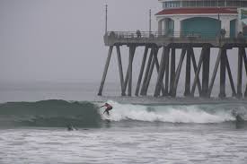 Image result for York University Surf Club