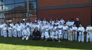 Image result for Cobra Karate Club
