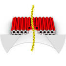 DNA origami puts a smart lid on solid-state nanopore sensors