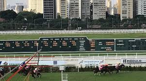 Image result for The Horse Racing Club