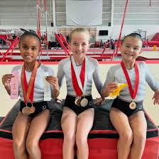 Image result for City Of Newcastle Gymnastics Academy