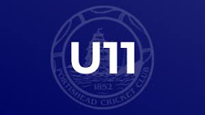 Image result for Portishead Cricket Club