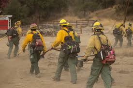 Image result for Hotshots