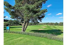 Image result for Stanedge Golf Club