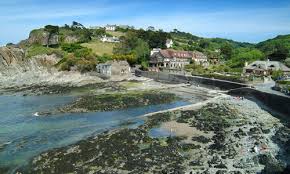 Image result for Ilfracombe & N Devon