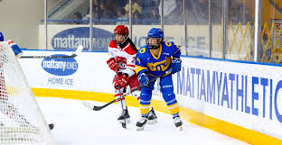 Image result for York University Street Hockey Club