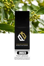 Attēlu rezultāti vaicājumam “Labiatae”