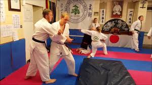 Image result for Beeches Martial Arts