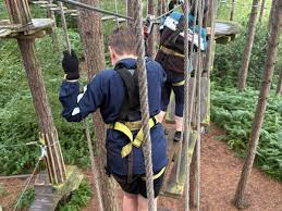 Image result for The Go Ape Experience (Delamere Forest)
