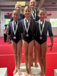 Image result for Buckley Girls Gymnastic Club