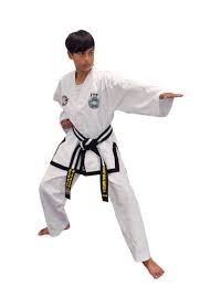 Image result for English International Allstyles Taekwon-Do