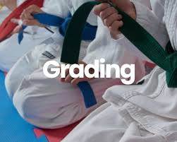 Image result for South Bank Taekwondo