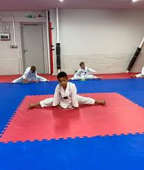 Image result for Mirfield Martial Arts Club