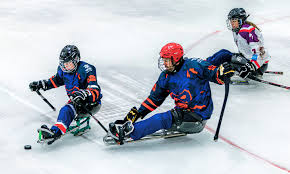 Image result for Peterborough Phantoms