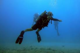 Image result for Richmond Sub-Aqua Club