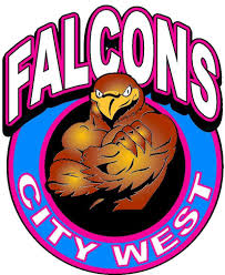 Image result for Normanton Falcons Netball Club