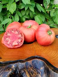 Afbeeldingsresultaat voor rose quartz tomato