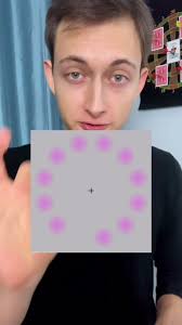 Image result for Lilac Chaser