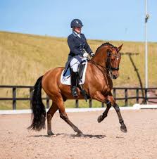 Image result for Buchan Group Riding For The Disabled