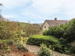 Image result for Treboeth All-Stars