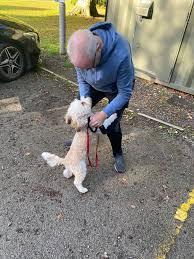 Image result for Wheels For All Widnes