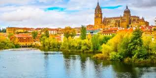 Image result for selvatici tehron