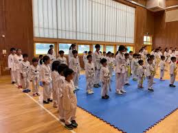 Image result for New Milton Taekwondo Club