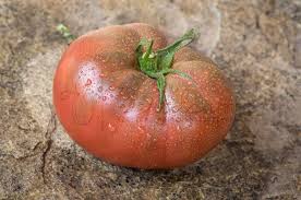 Afbeeldingsresultaat voor dark purple beefsteak tomato