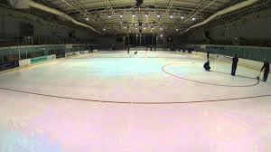 Image result for Guildford Ice Figure Skating Club