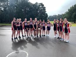Image result for Willenhall Town Wanderers Netball Club