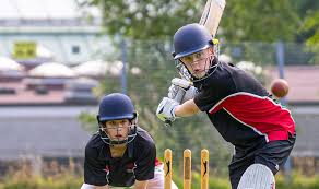 Image result for Winchester Netball Club