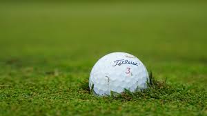 Image result for South Leeds Golf Club Ltd