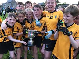 Image result for St Peter`s Gaa