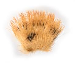 Attēlu rezultāti vaicājumam “Conistra rubiginea”